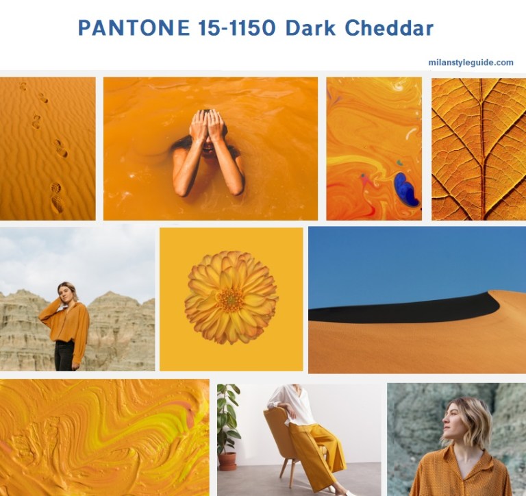 PANTONE-15-1150-Dark-Cheddar.jpg